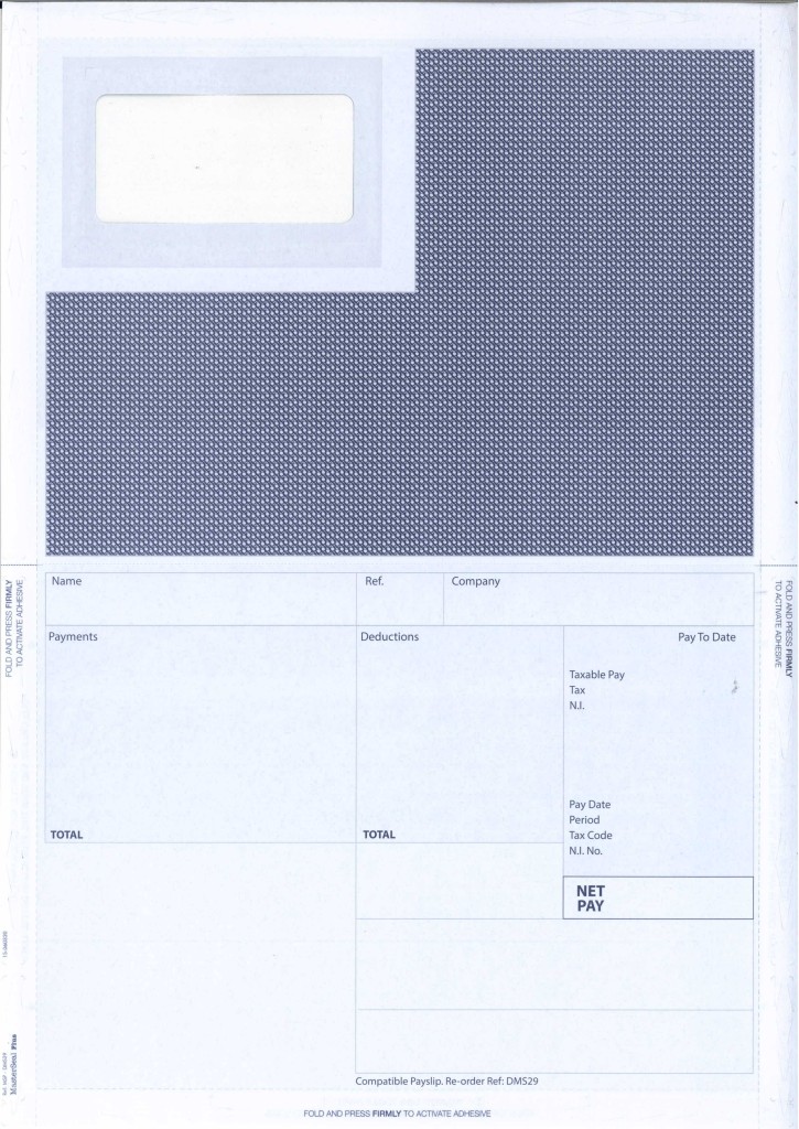 PG220-SS - PEG220 COMPATIBLE PAYSLIP - SELF SEAL