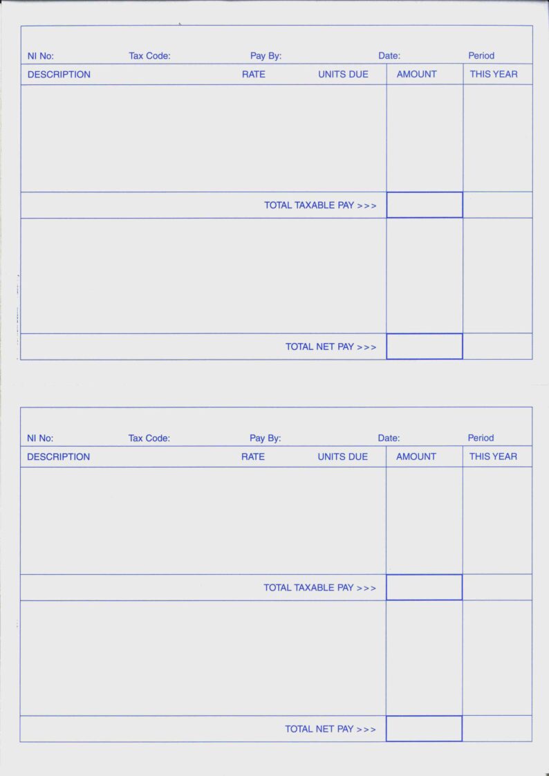 STAR PAYSLIP - 2 PAYSLIPS PER PAGE - VARIOUS PACK SIZES